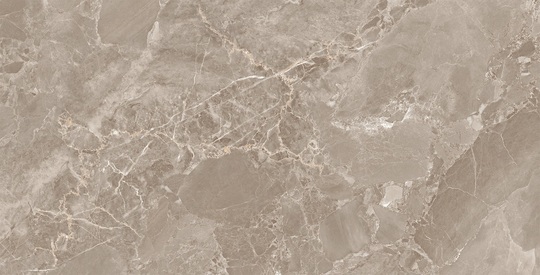 Керамогранит Arcadia Ceramica Модена Браун / Modena Brown 60x120 см полированный FP1031-A