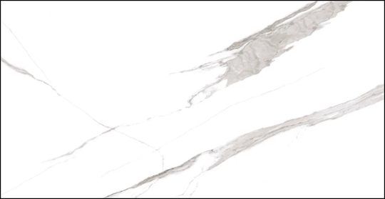 Керамогранит Dogma Project Antibacterial Calacatta Levigato Rettificato 60x120 см NEO126001