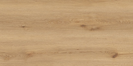 Керамогранит Global Tile Вуди бежевый 50x100 см GT5010026902MCR карвинг