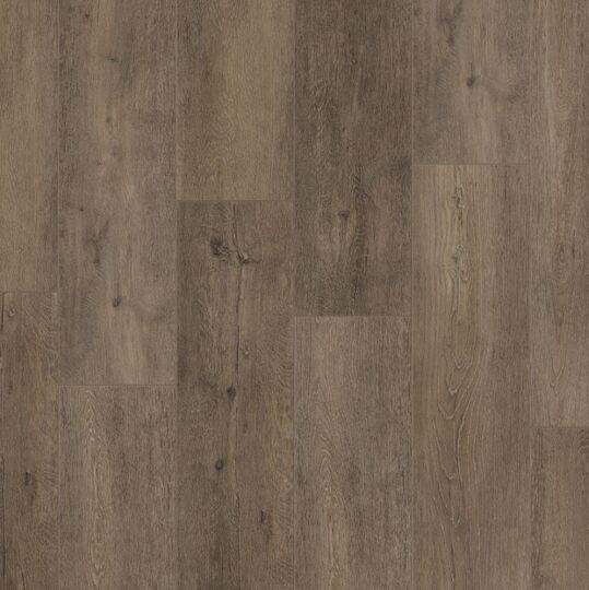 Виниловая SPC планка Tarkett Future House Willy