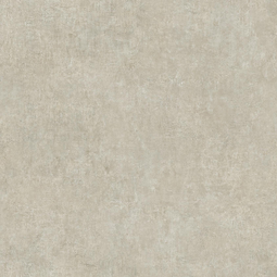 Линолеум Tarkett (Accent Pro) Concrete 1